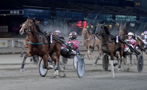 Made Of Stars svarade för en stark årsdebut och vann lätt tillsammans med lärlingen David Grundmann. Foto av Lars Jakobsson TR Bild